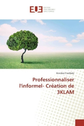 Kniha Professionnaliser l'informel- Création de 3KLAM Kozoloa Coulibaly