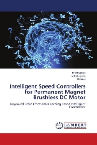 Książka Intelligent Speed Controllers for Permanent Magnet Brushless DC Motor B. Gunapriya