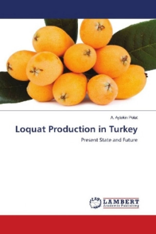 Könyv Loquat Production in Turkey A. Aytekin Polat