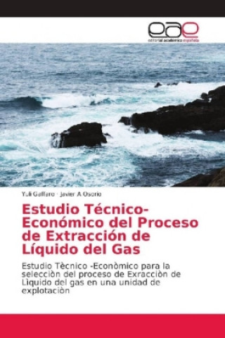Carte Estudio Tecnico-Economico del Proceso de Extraccion de Liquido del Gas Yuli Gaffaro