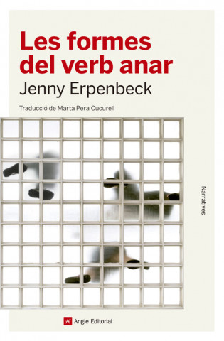 Книга LES FORMES DEL VERB ANAR JENNY ERPENBECK