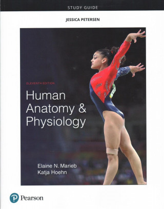 Kniha Study Guide for Human Anatomy & Physiology Elaine N. Marieb