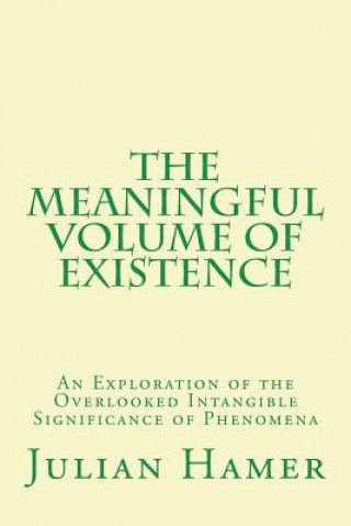 Kniha Meaningful Volume of Existence Julian Hamer