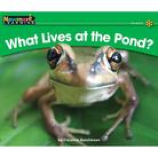 Kniha What Lives at the Pond? Caroline Hutchinson