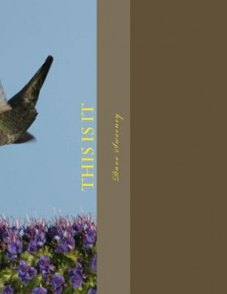 Kniha This Is It: Out of 2018 Dave Sweeney