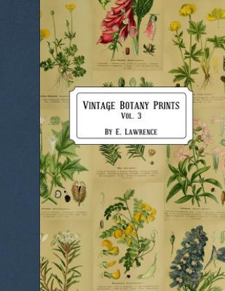 Könyv Vintage Botany Prints: Vol. 3 E  Lawrence