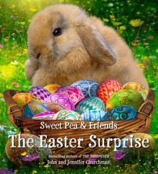 Book The Easter Surprise John Churchman
