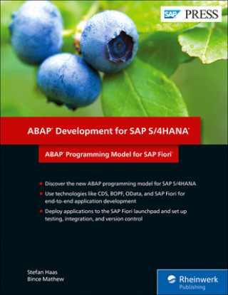 Knjiga ABAP Development for SAP S/4HANA Stefan Haas