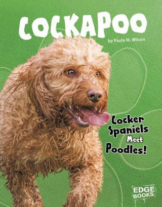 Книга Cockapoo: Cocker Spaniels Meet Poodles! Paula M Wilson