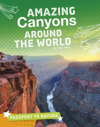 Kniha Amazing Canyons Around the World Gail Terp