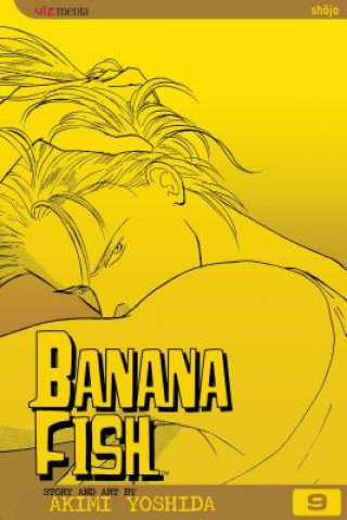 Knjiga Banana Fish, Vol. 9: Volume 9 Akimi Yoshida