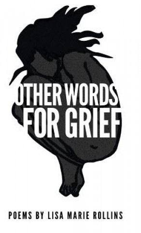 Kniha Other Words for Grief Lisa Marie Rollins