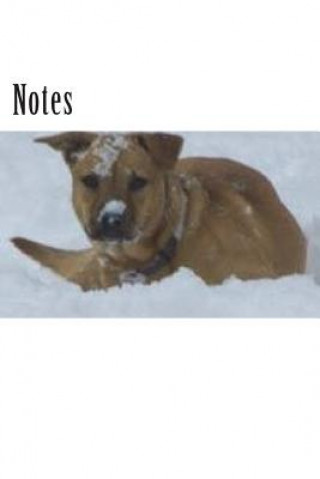 Carte Notes Missy Parks