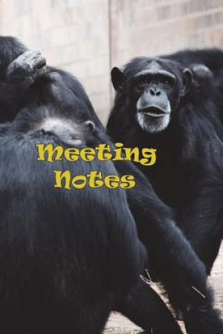 Buch Meeting Notes Nash Benedict