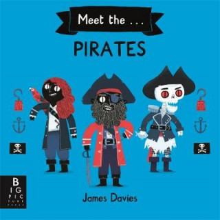 Buch Meet the Pirates James Davies