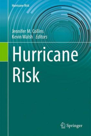 Kniha Hurricane Risk Jennifer M. Collins