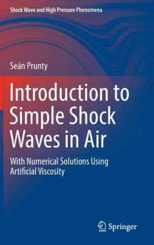 Książka Introduction to Simple Shock Waves in Air Seán Prunty