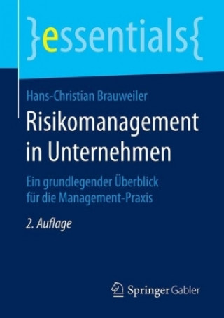 Kniha Risikomanagement in Unternehmen Hans-Christian Brauweiler