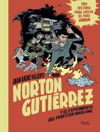 Könyv NORTON GUTIÈRREZ Y EL EXPERIMENTO DEL PROFESOR MAGLIONE JUAN SAENZ VALIENTE