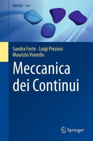 Kniha Meccanica dei Continui Sandra Forte