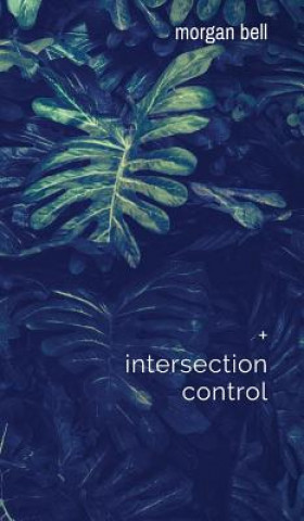 Βιβλίο Intersection Control MORGAN BELL