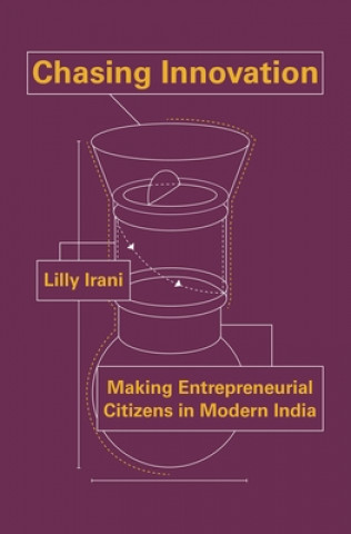 Book Chasing Innovation Lilly Irani