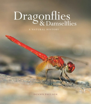 Kniha Dragonflies and Damselflies Dennis Paulson