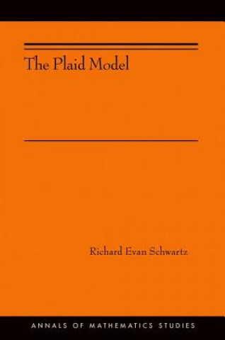 Book Plaid Model Richard Evan Schwartz