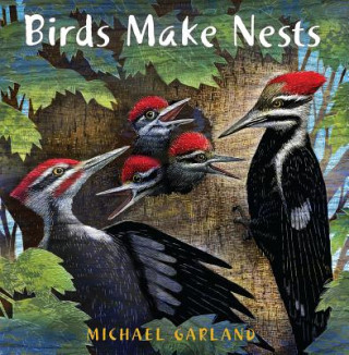 Könyv Birds Make Nests Michael Garland