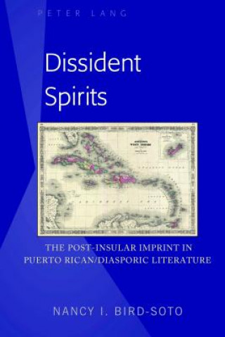 Knjiga Dissident Spirits Nancy I. Bird-Soto