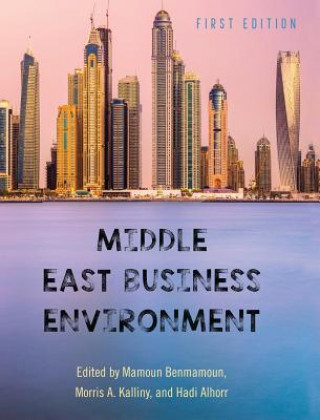 Kniha Middle East Business Environment Mamoun Benmamoun