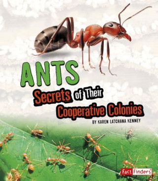 Könyv Ants: Secrets of Their Cooperative Colonies Karen Kenney