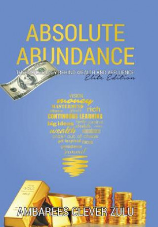 Buch Absolute Abundance AMBAREES CLEVE ZULU