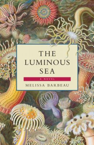 Kniha The Luminous Sea Melissa Barbeau