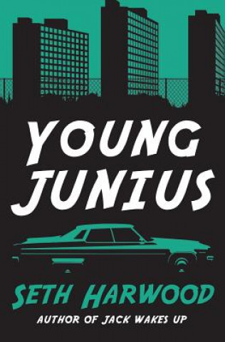 Kniha Young Junius: The Amazing Prequel Saga of Junius Ponds in 1987 Seth Harwood