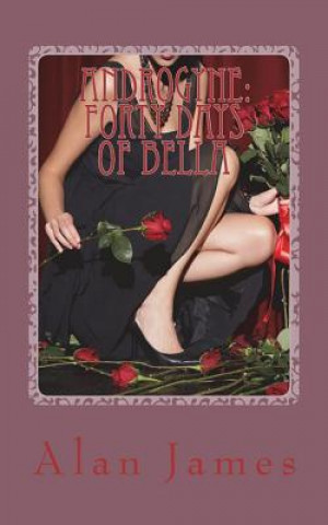 Kniha Androgyne: forty days of Bella Alan James