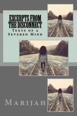 Kniha Excerpts from the Disconnect: Texts of a Severed Mind Marijah V