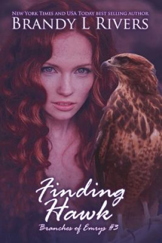 Kniha Finding Hawk Brandy L Rivers