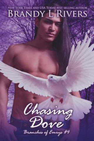Book Chasing Dove Brandy L Rivers