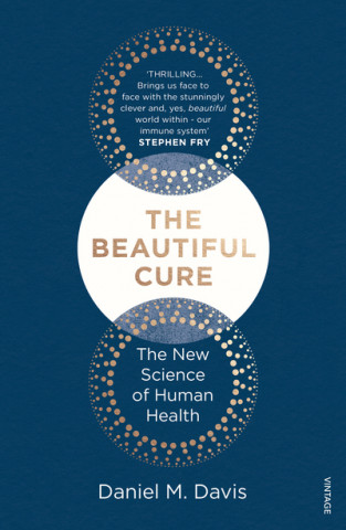 Könyv Beautiful Cure Daniel M. Davis