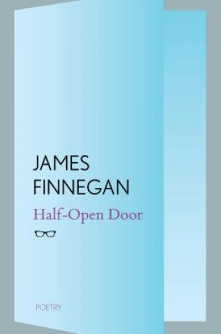 Boek Half-Open Door James Finnegan