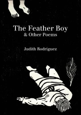 Book Feather Boy Judith Rodriguez