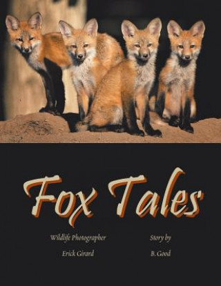 Kniha Fox Tales Rebecca Goodman