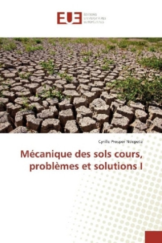 Könyv Mécanique des sols cours, problèmes et solutions I Cyrille Prosper Ndepete