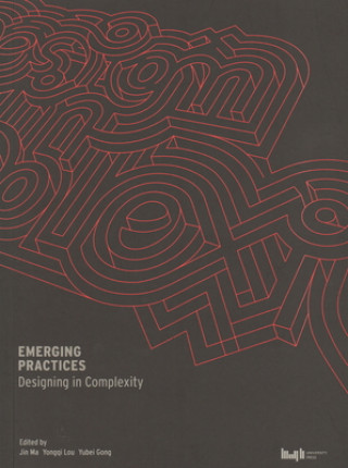 Knjiga Emerging Practices Yongqi Lou