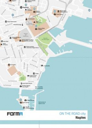 Boek Naples Andrea Nastri