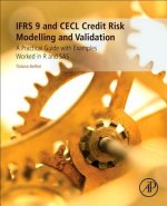 Kniha IFRS 9 and CECL Credit Risk Modelling and Validation Tiziano Bellini