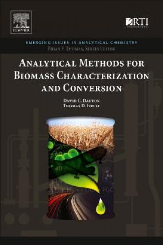 Kniha Analytical Methods for Biomass Characterization and Conversion David Dayton