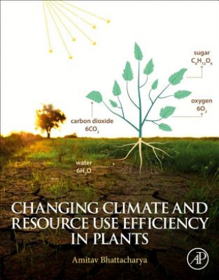 Книга Changing Climate and Resource use Efficiency in Plants Amitav Bhattacharya