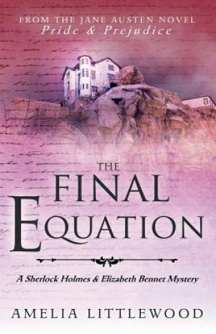 Knjiga The Final Equation Amelia Littlewood